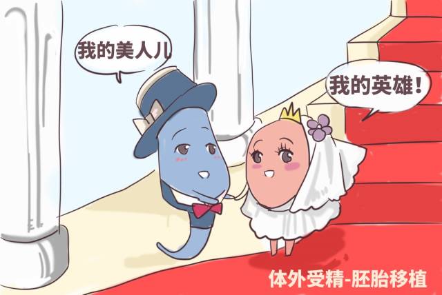 人流手术法定假休几天