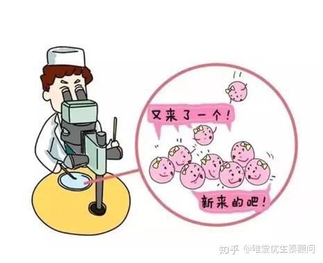 人流前一天同房了