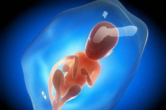 平行四边形面积公式