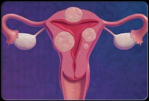 有偿捐卵联系方式