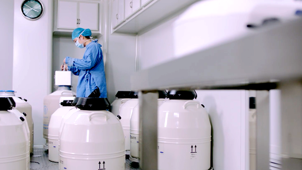 提捐卵巢早衰捐卵机构